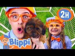 Blippi's Puppy Playdate 🐶 | BEST OF BLIPPI TOYS | Educational Videos for Kids
