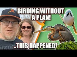 AN UNEXPECTED BIRDING ADVENTURE. RARE BIRDS AND SPRING MIGRANTS!