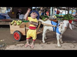 Cutis Take Ben Goat Harvest Passion Fruit Sell In A Unique Smart way At Market