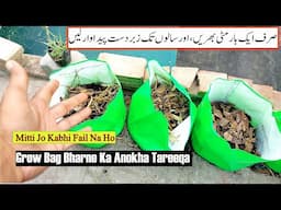 Unique Soil Mix for All Plants | Grow Bag Filling Secret Formula