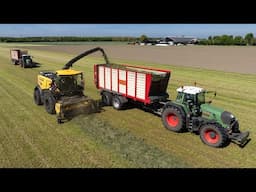 First day on the job | *NEW* New Holland Forage Cruiser FR550 | Grass silage 2025