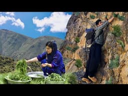 Cooking Traditional Ghormeh Sabzi with Mountain Spring Herbs in the Village