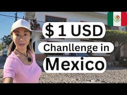 The Shocking Truth About $1 in Puerto Vallarta Mexico