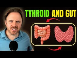 Things You Must Know About the Thyroid Gut Immune Axis