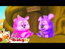 In the Animal World | Learn Fun Facts About Baboons 🐒 @BabyTV