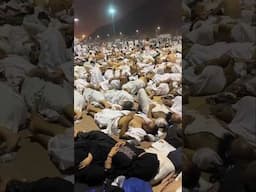 hajj 2025 || Ya Allah Tamaam Hajiyon Ka Hajj Qubool Farmaye Ameen ❤️ #shorts #hajj2025