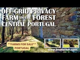 🌄 Off-Grid Privacy - Farm in the Forest | Central Portugal | €48000