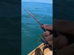 mau sepi mau ramai, yang penting joran melengkung dan reel menjerit #fishing #mancingmania #uqi2017