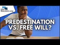 What does the Bible say about predestination vs. free will?  |  GotQuestions.org