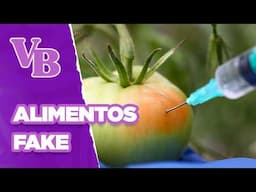 Quais são os riscos dos ALIMENTOS FAKES para a saúde? - Você Bonita (30/04/2025)