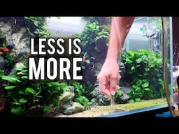 5 Aquarium Tips I Wish I Knew When I Started Aquascaping