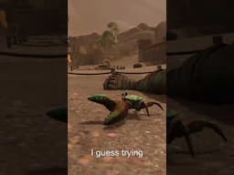 What are these crabs doing in World of Warcraft?