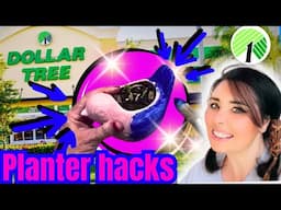 Dollar tree planter hacks & DIYs to add spring in your garden! GIVEAWAY!!