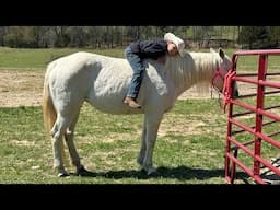 We have been so busy! HORSE FUN!