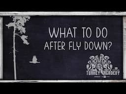 OnX Turkey Academy • Lesson 15 | After Fly Down - What To Do
