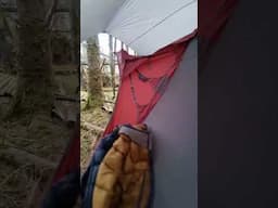 Solo hammock camp in the Amok Draumr 5.0 #hammock #solocamp #Amok #Staywild