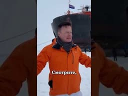 С Днём России! 🇷🇺 #сергейвойтенко #россия