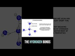 What are hydrogen bonds and why does water form them? #Biology #Chemistry