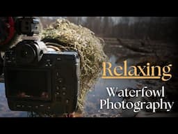 A Relaxing Morning of Waterfowl Photography With Tips | Nikon Z9