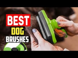 ✅Top 5 Best Dog Brushes For Huskies in 2025
