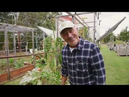 Understanding when to dig and not to dig your garden