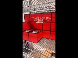 Every box we pack is a portal into something darker… And yeah, your name’s probably on the next
