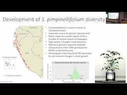 Magdelina Julkowska: The Shape Of Stress Resilience: New Mechanisms ... Based on Plant Architecture