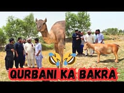 Bakray 🐐 Ko Oonth 🐪 Bana Diya😳