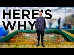 I Traveled 6000 Miles to Buy a FISH?