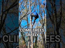 How To Climb Trees Safely with no equipment
