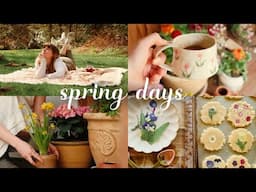 Spring Days🌼🪴🪺 decorating the porch & making edible flower cookies