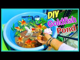 Making a New DIY Indoor Goldfish Pond 🐟😍😍