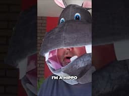 Fat Horse Fails! Betting Gone Wrong: Hippo's Hilarious Loss