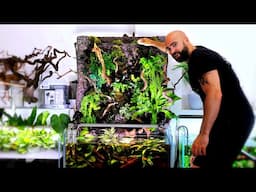 8FT PALUDARIUM - GLASS WORLDS