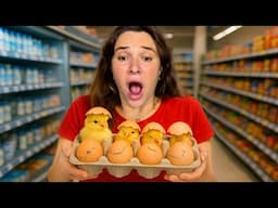 INCUBATING FERTILE SUPERMARKET EGGS!