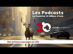 PODCAST - Des animaux sauvages en ville