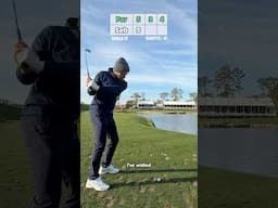 My 1 chance at the 17th at TPC Sawgrass & this happens…