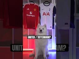 A UNITED NYER?