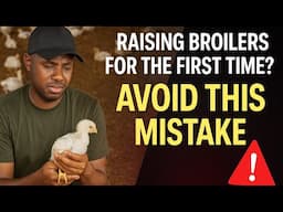 How to Raise Your First 100 Broilers Without Regret