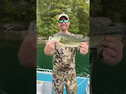 WHAT A BASS!