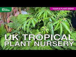 TROPICAL GARDEN plant nursery, get inspiration!