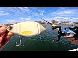 Glide Bait Fishing Striped Bass