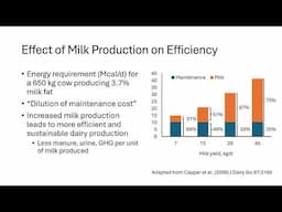 Sustainability of the Dairy Industry in the United States