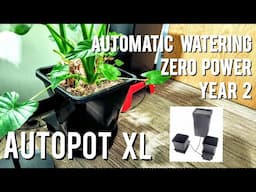 AUTOPOT XL - ZERO POWER SELF WATERING CONTAINER GARDEN