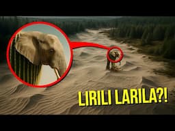 IF YOU SEE LIRILI LARILA WHILE EXPLORING ABANDONED SAND PITS, DO NOT APPROACH HER, RUN AWAY!!