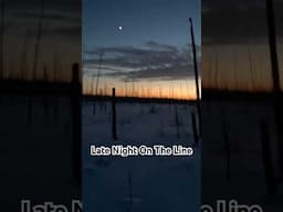 Late Night On The Line #alaskanative #enigmaticgwichin #trapping #shorts
