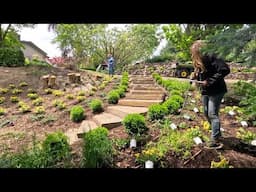 Watering the Downtown Pots & Working in My Parent’s Garden! 💦🌿✂️ // Garden Answer
