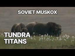Soviet Muskox | Tundra Titans