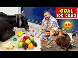 Giving Food To 100 Cows ! 😍