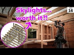 Framing Skylights & Ceiling Joists | Day 14 – North Wing Modern Home Addition
